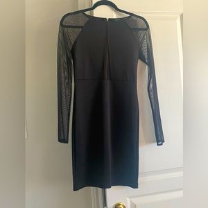 Mesh bodycon long sleeve dress